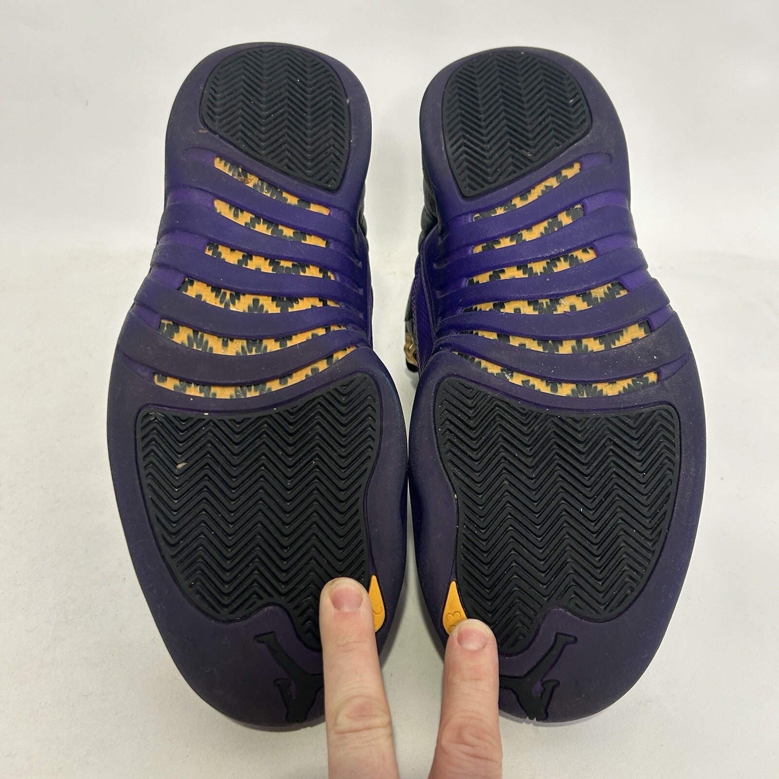 Nike Air Jordan 12 Retro “Field Purple” CT8013-057 Men’s 10.5 Worn