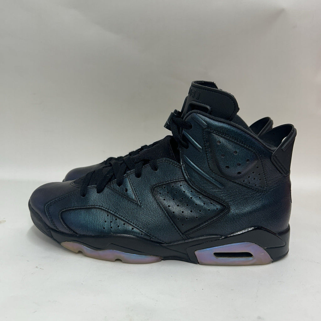 Nike Air Jordan 6 VI Retro All-Star “Chameleon” 907961-015 Men’s 12 Worn