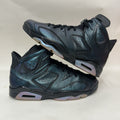 Nike Air Jordan 6 VI Retro All-Star “Chameleon” 907961-015 Men’s 12 Worn