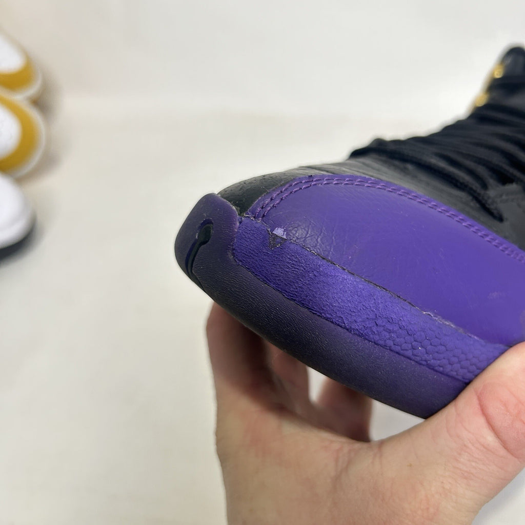 Nike Air Jordan 12 Retro “Field Purple” CT8013-057 Men’s 10.5 Worn