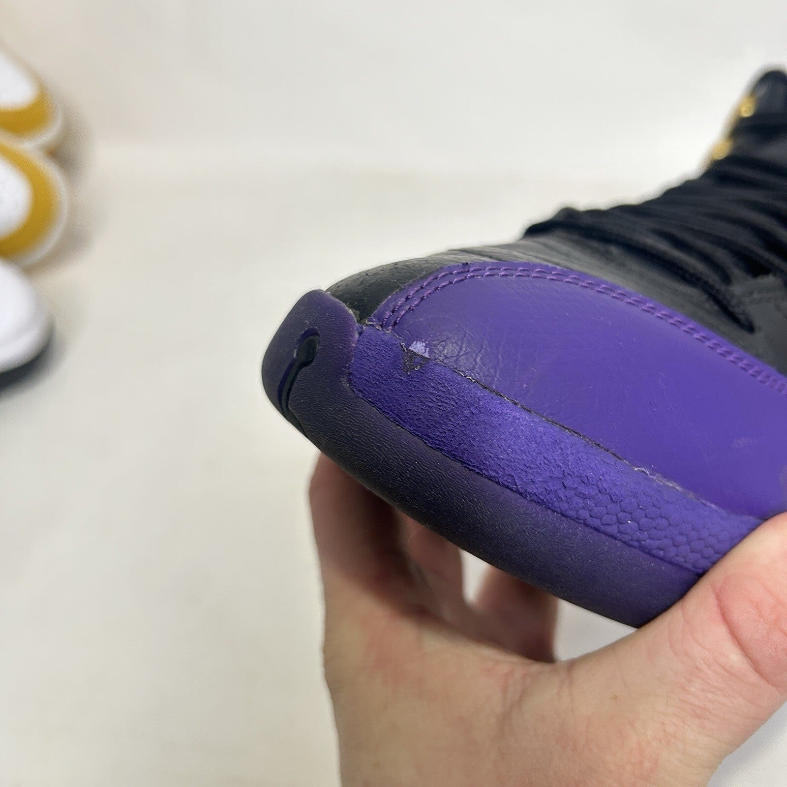 Nike Air Jordan 12 Retro “Field Purple” CT8013-057 Men’s 10.5 Worn