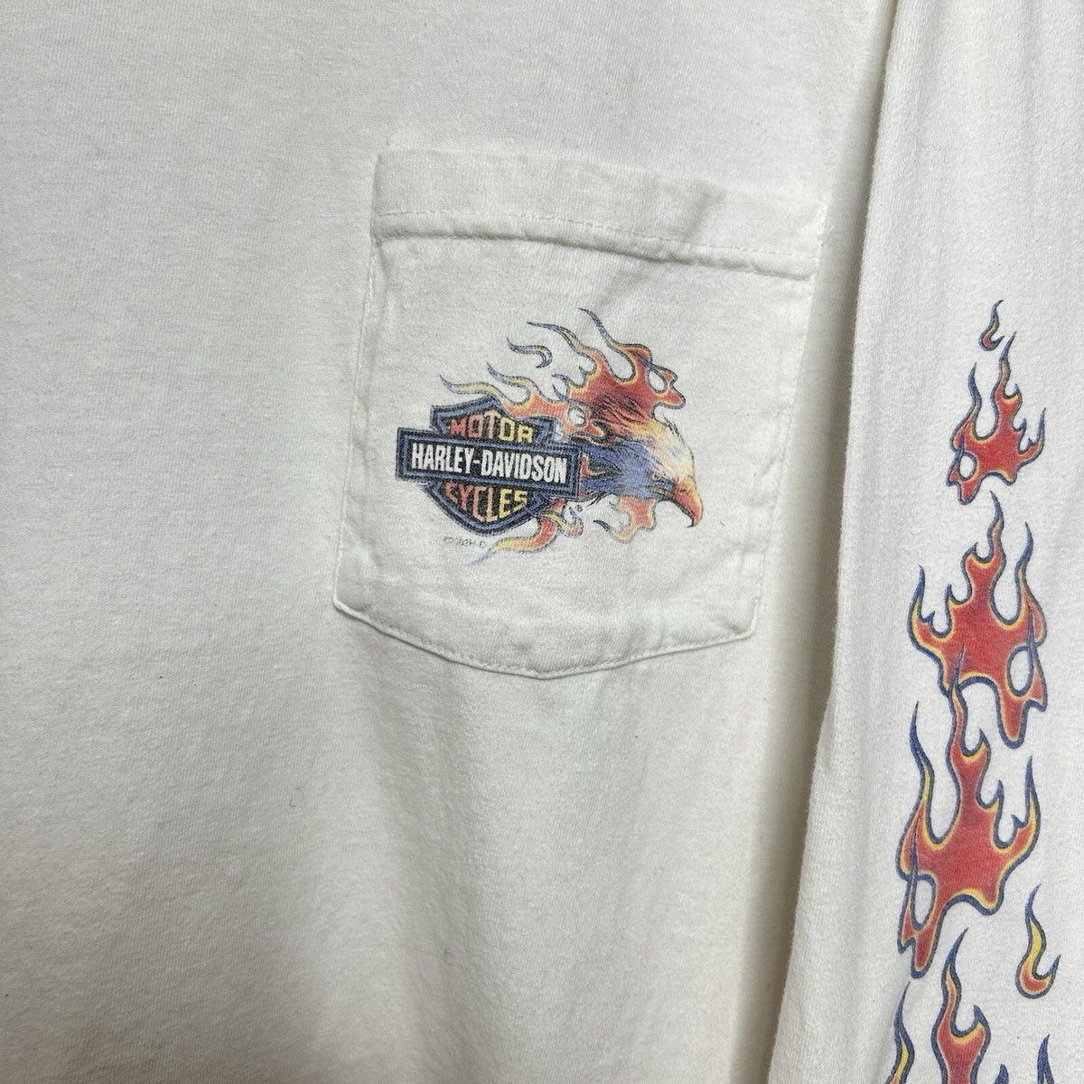 Y2K Harley Davidson Screaming Eagle Flame Long-Sleeve Tee