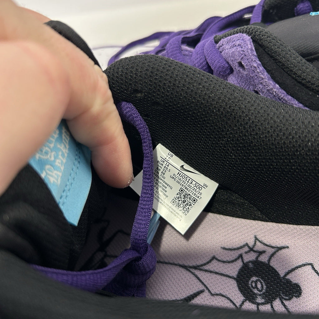 Hayley Wilson x Nike SB Dunk Low “Court Purple” HJ0513-500 Men’s 15 New